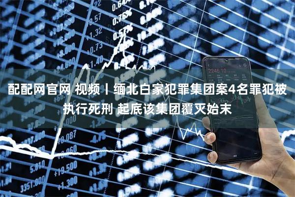 配配网官网 视频丨缅北白家犯罪集团案4名罪犯被执行死刑 起底该集团覆灭始末