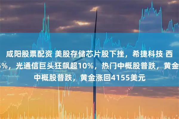 咸阳股票配资 美股存储芯片股下挫，希捷科技 西部数据大跌超5%，光通信巨头狂飙超10%，热门中概股普跌，黄金涨回4155美元